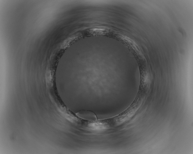 X0000112470759200908171158