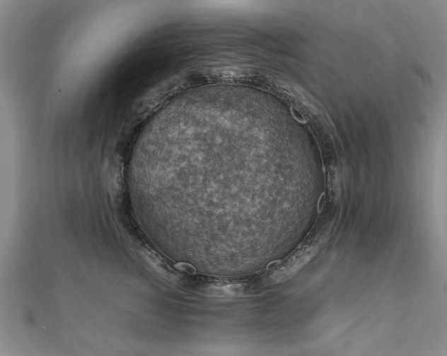 X0000112470760200908171158