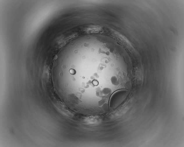 X0000112470761200908171158