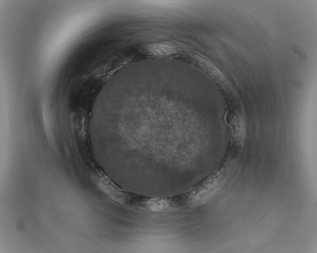 X0000112470762200908171158