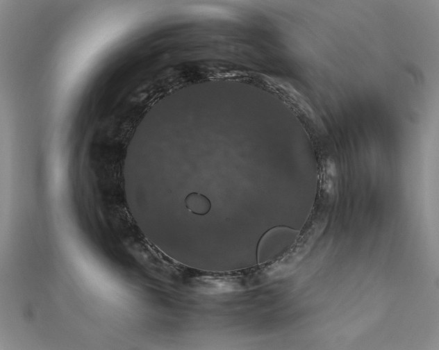 X0000112470763200908171158