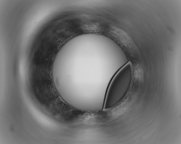 X0000112470764200908171158