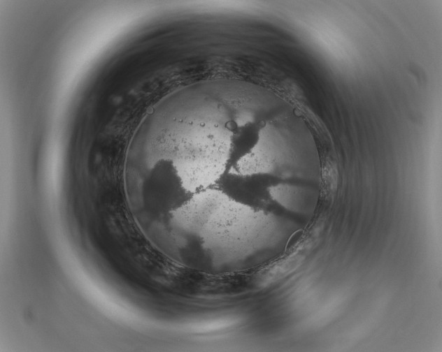 X0000112470765200908171158