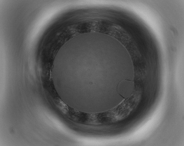 X0000112470766200908171158