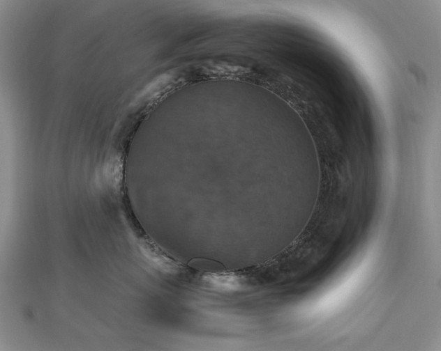 X0000112470767200908171158