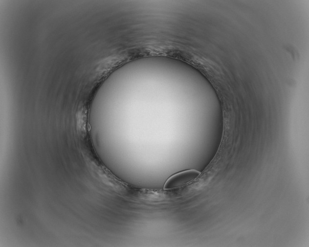 X0000112470768200908171158