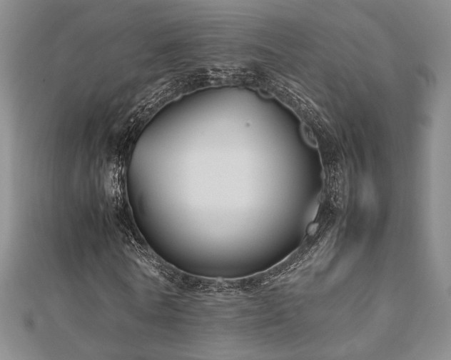 X0000112470770200908171157