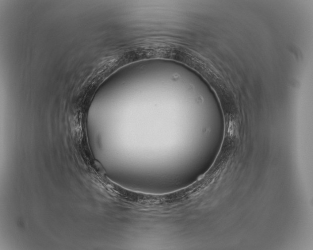 X0000112470771200908171157