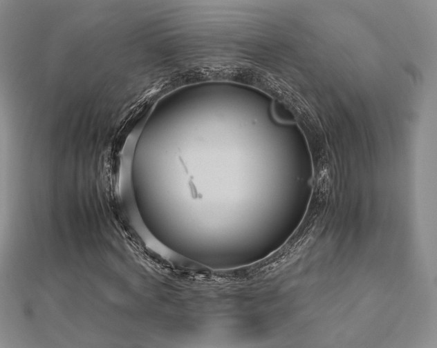 X0000112470772200908171157