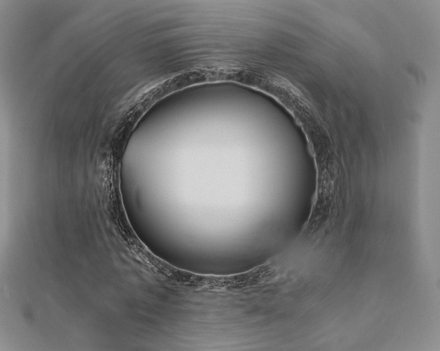 X0000112470773200908171157