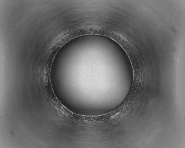 X0000112470774200908171157