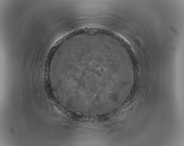 X0000112470775200908171157