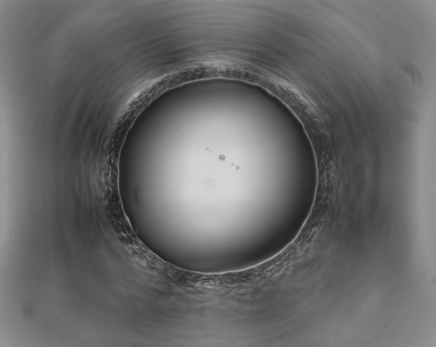 X0000112470776200908171157