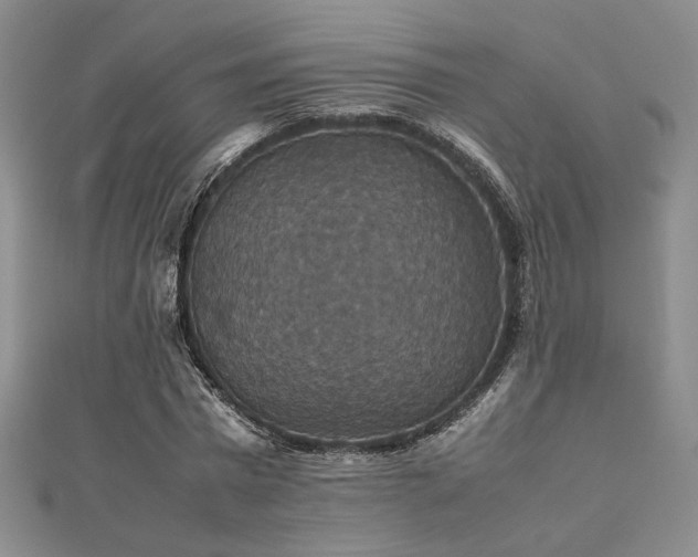 X0000112470777200908171157