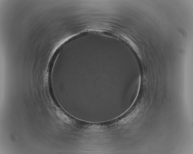 X0000112470779200908171157