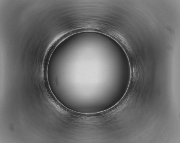 X0000112470780200908171157