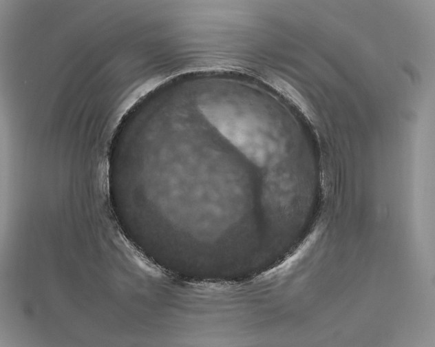 X0000112470781200908171157