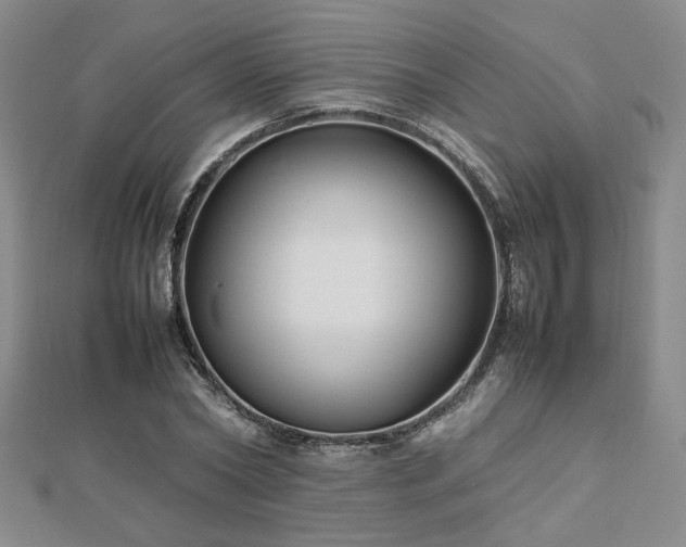 X0000112470782200908171157