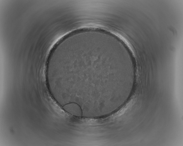 X0000112470783200908171157