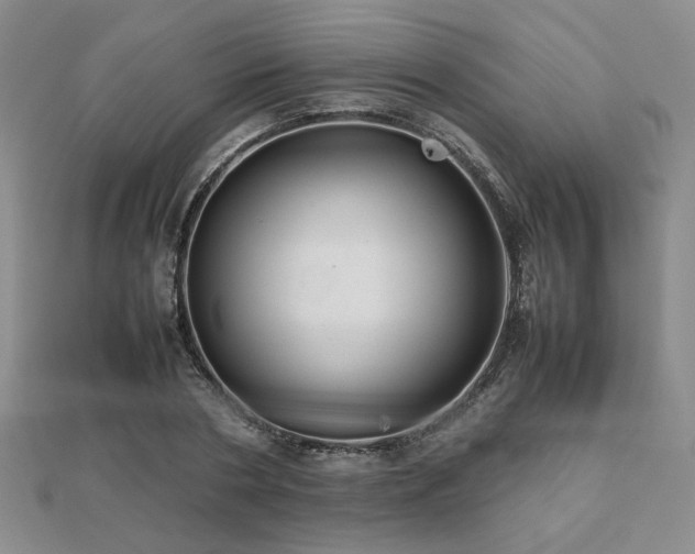 X0000112470786200908171157