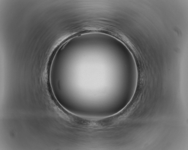 X0000112470787200908171157