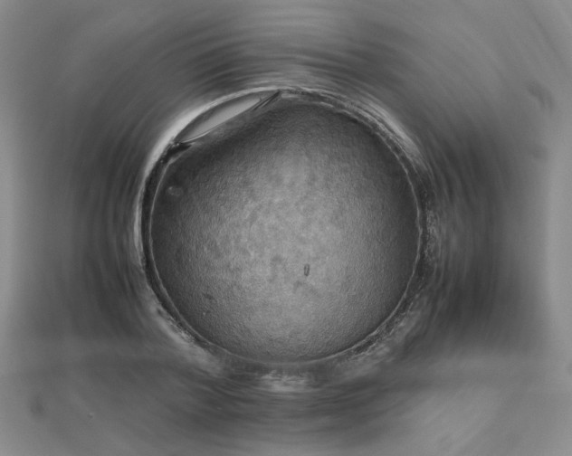 X0000112470788200908171157