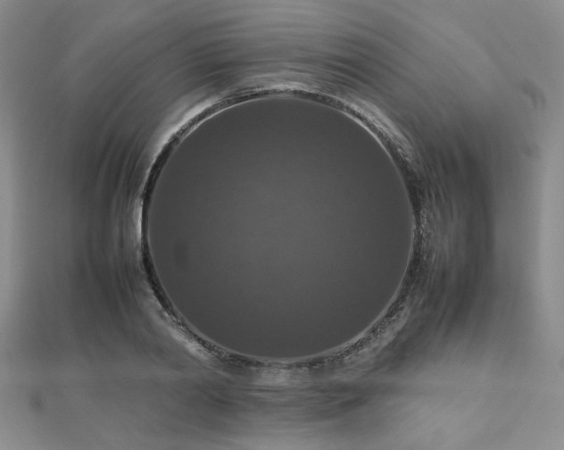 X0000112470790200908171157