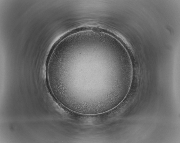 X0000112470791200908171157