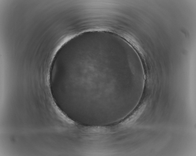 X0000112470797200908171157