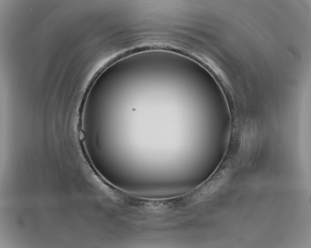 X0000112470799200908171157