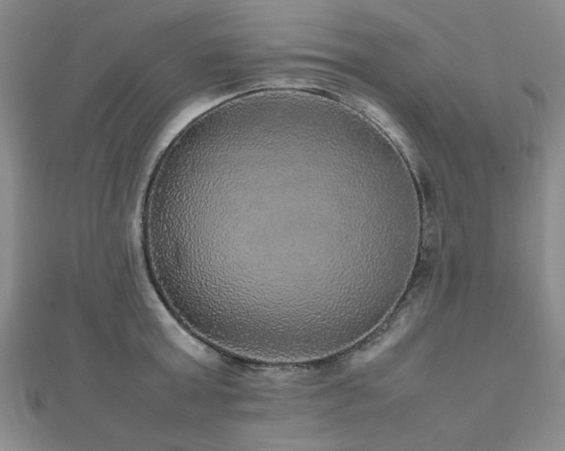 X0000112470803200908171157