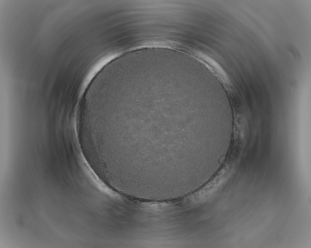 X0000112470804200908171157