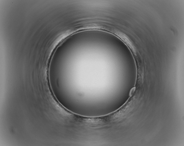 X0000112470805200908171157