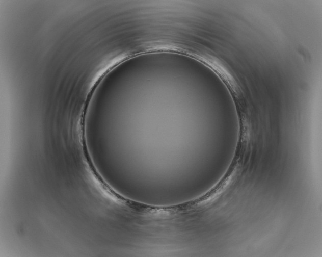 X0000112470806200908171157