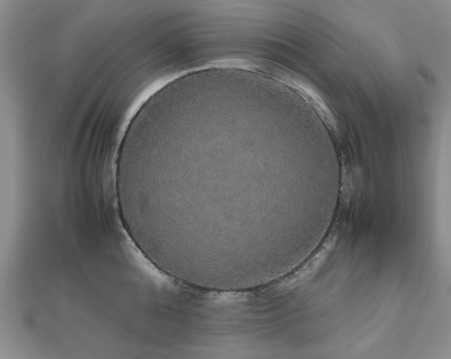 X0000112470808200908171157