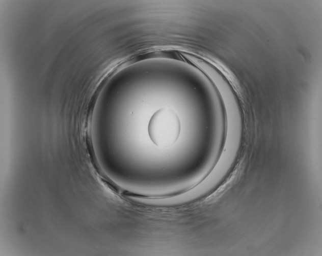 X0000112470809200908171157