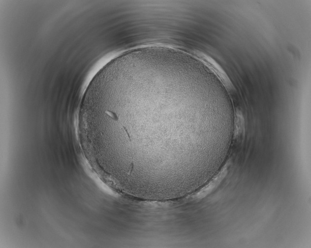 X0000112470812200908171157