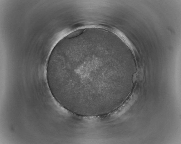 X0000112470813200908171157