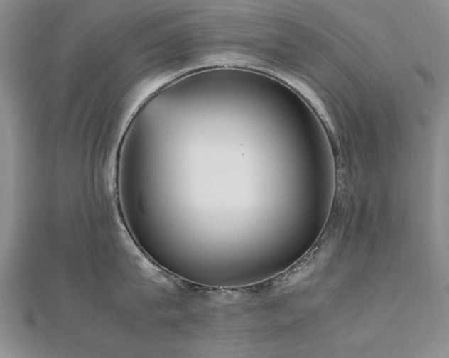 X0000112470815200908171157