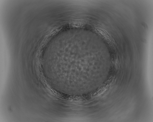 X0000112470817200908171156