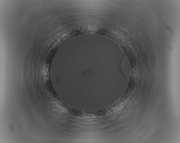 X0000112470818200908171156