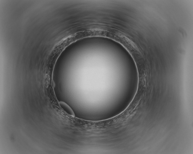 X0000112470821200908171156