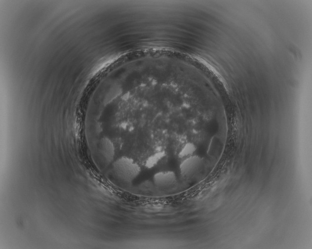 X0000112470823200908171156