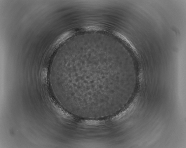 X0000112470825200908171156