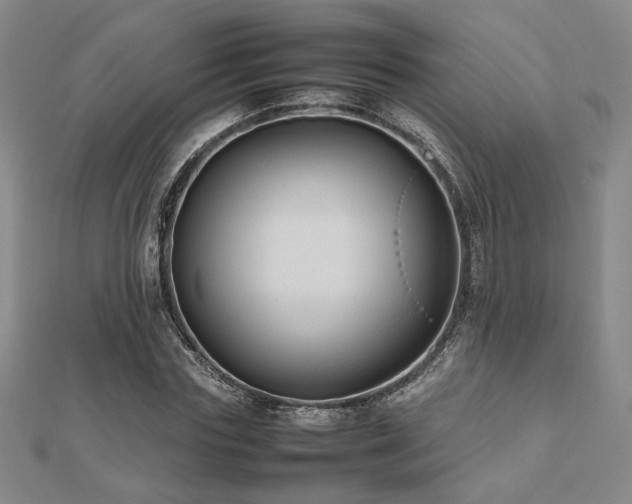 X0000112470827200908171156