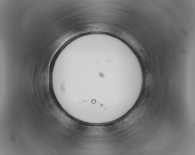 X0000112470836200908171156