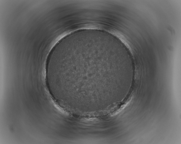 X0000112470837200908171156