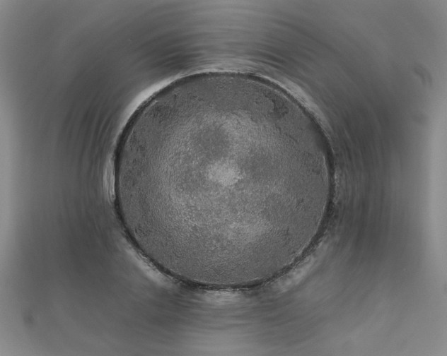 X0000112470838200908171156