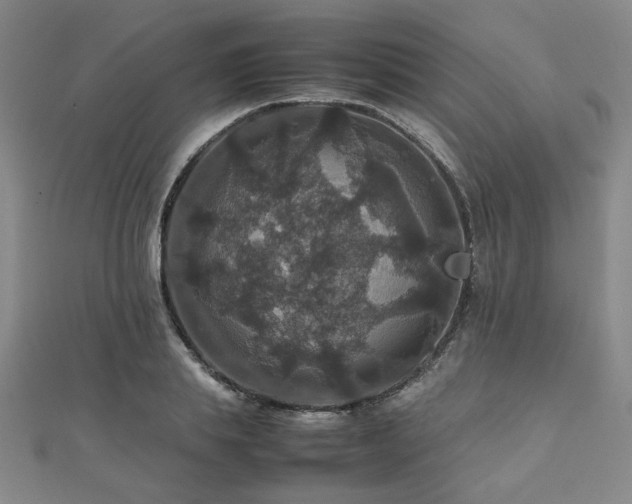 X0000112470839200908171156