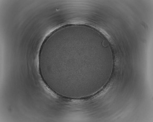 X0000112470840200908171156